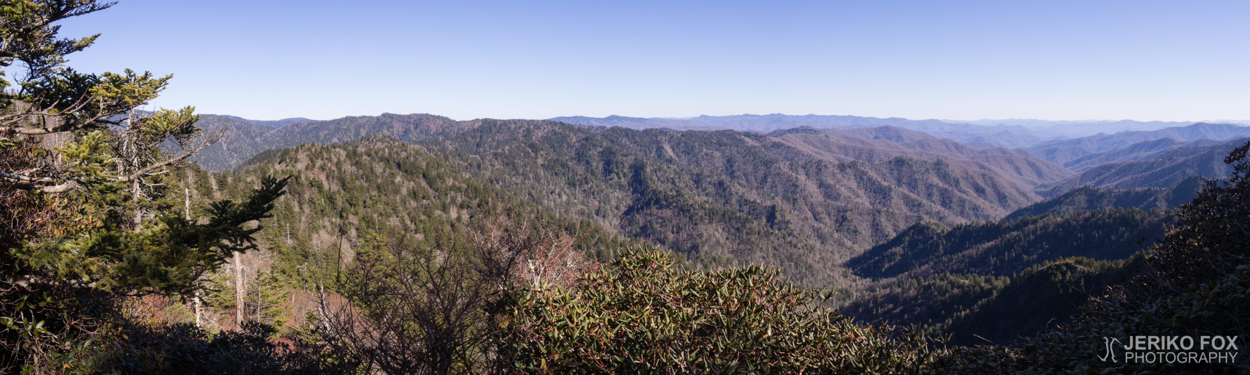 JFRM-2017-04-6833-Pano