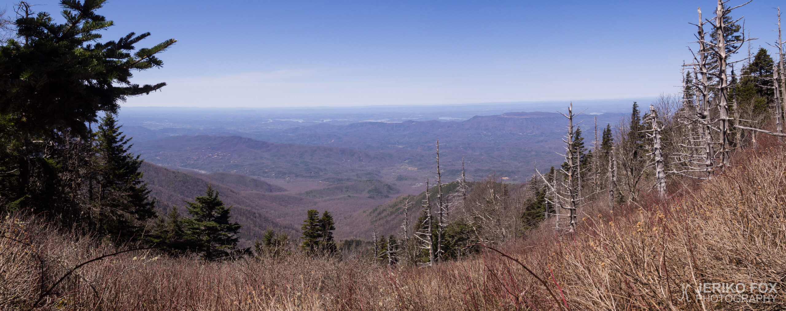 JFRM-2017-04-6849-Pano