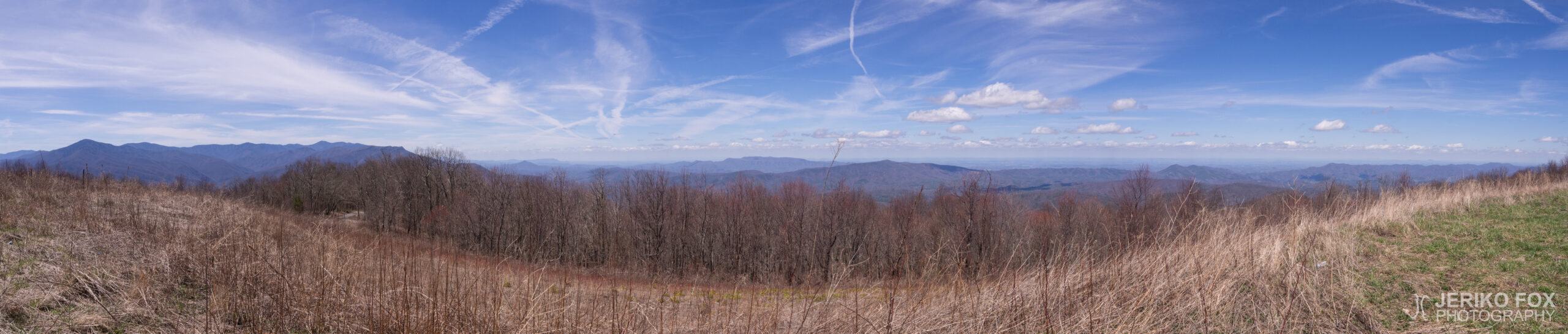 JFRM-2017-04-6899-Pano