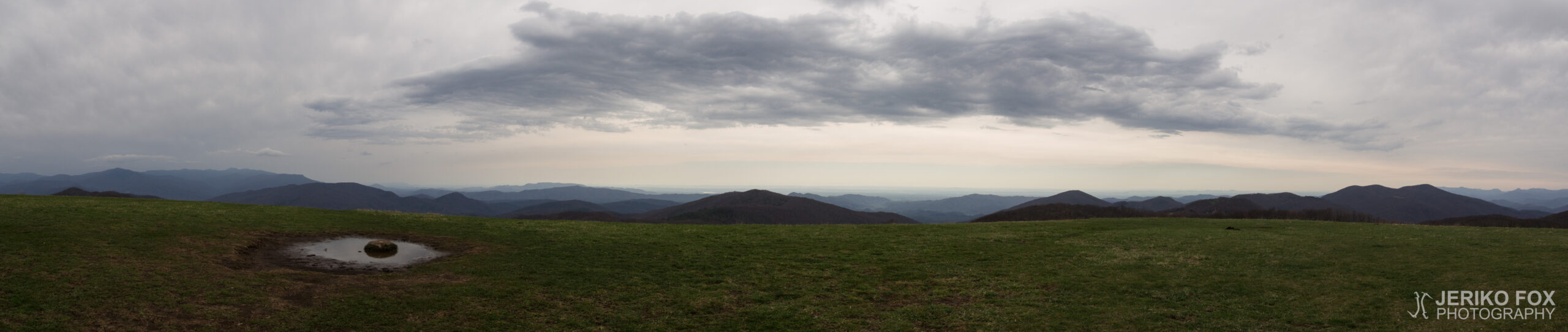 JFRM-2017-04-6932-Pano
