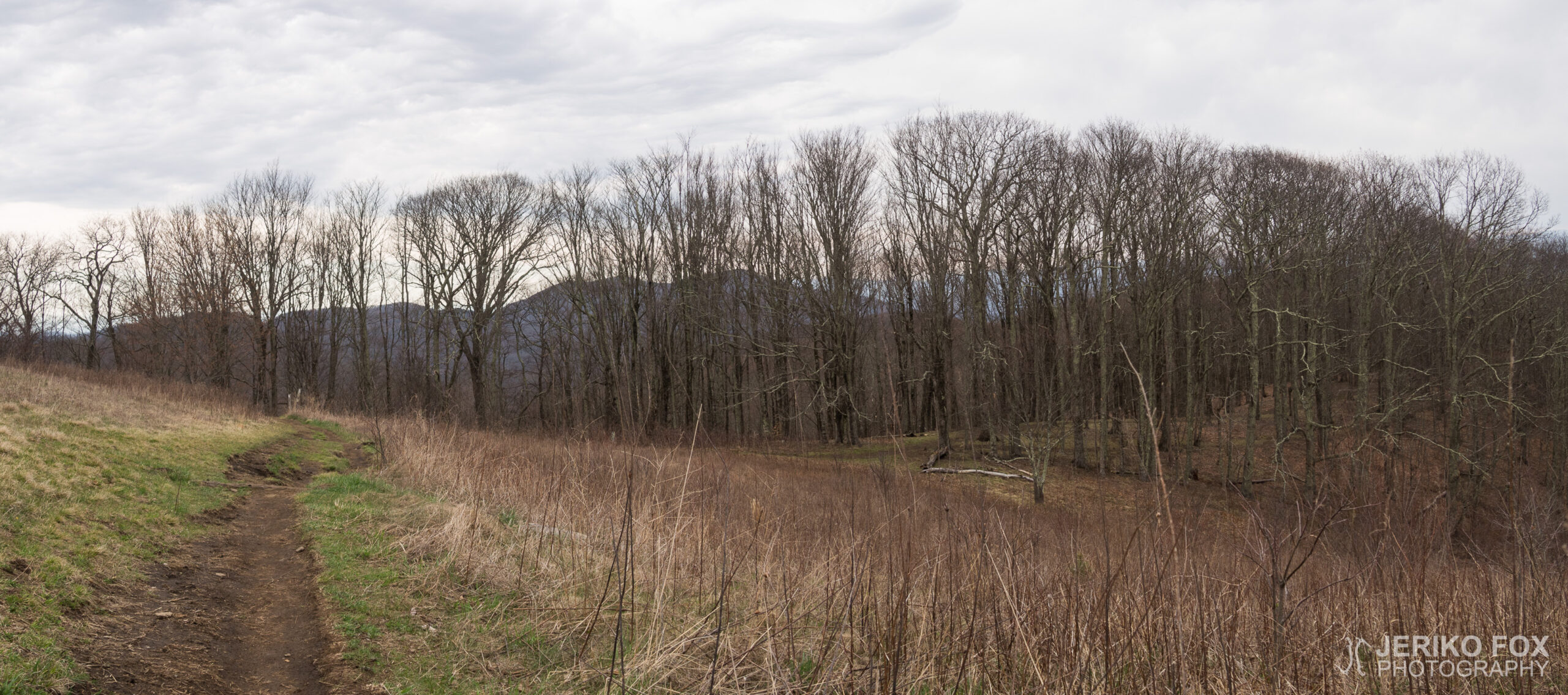 JFRM-2017-04-6946-Pano