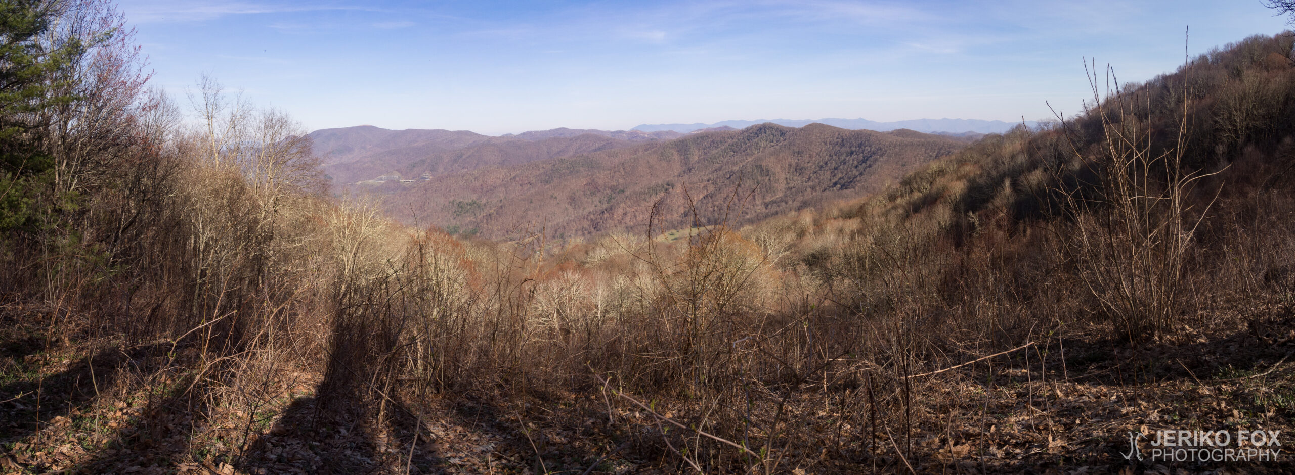JFRM-2017-04-7095-Pano
