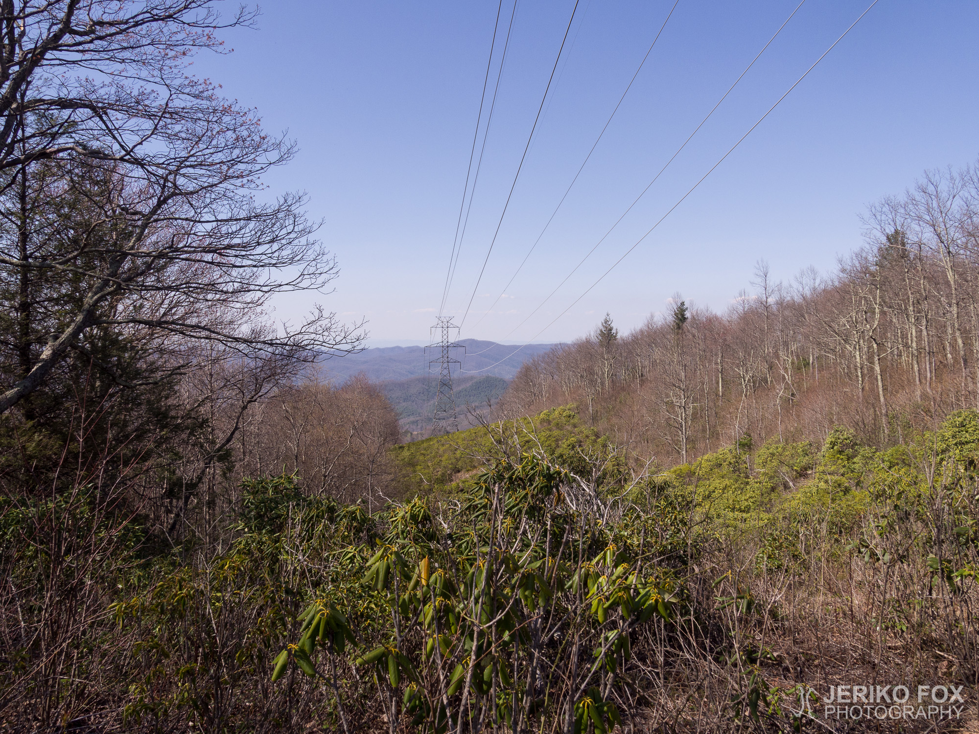 JFRM-2017-04-7140