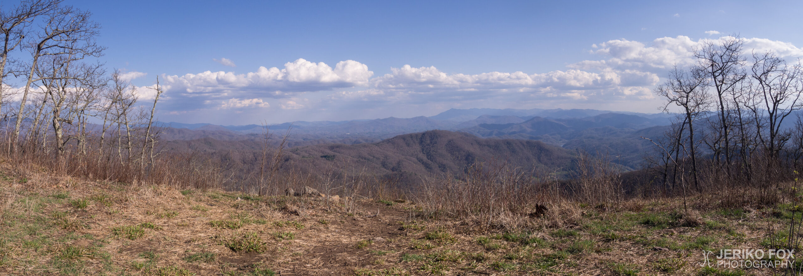 JFRM-2017-04-7144-Pano