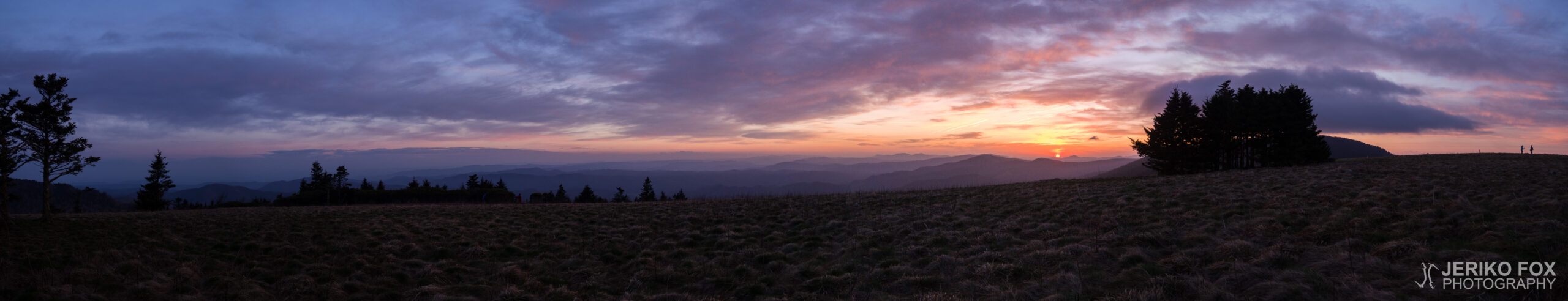 JFRM-2017-04-7228-Pano