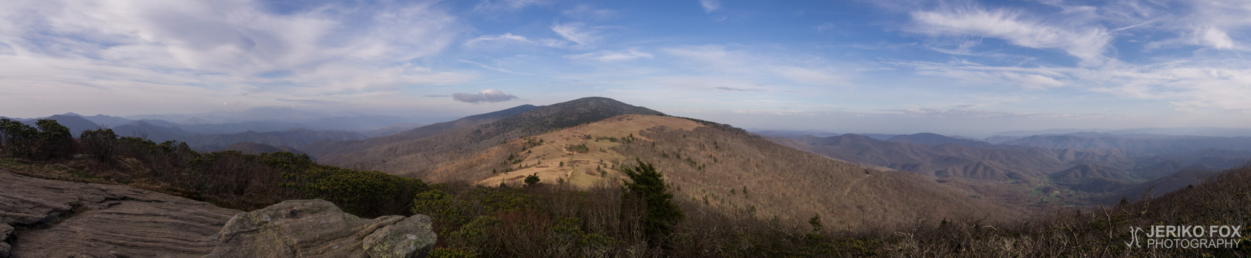 JFRM-2017-04-7245-Pano