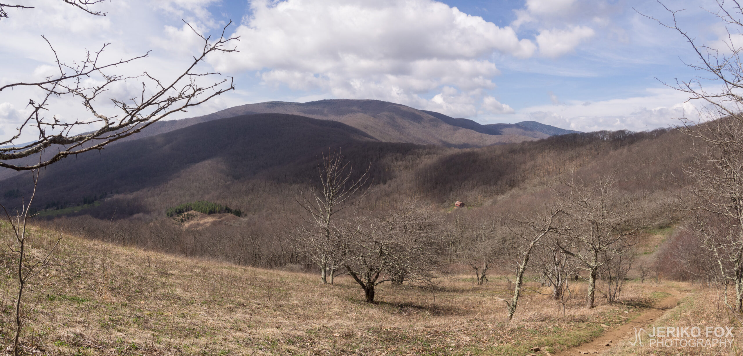 JFRM-2017-04-7265-Pano