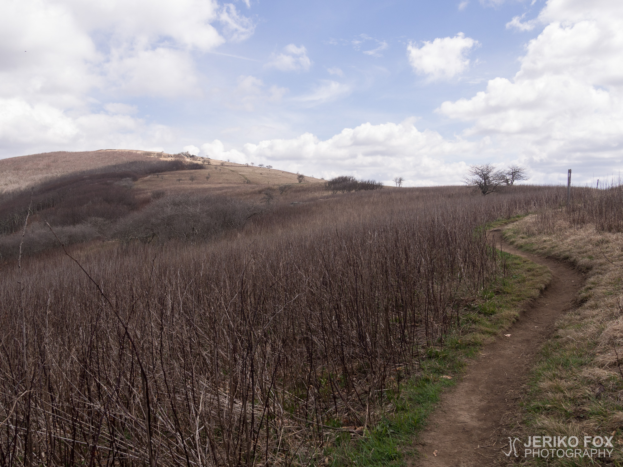 JFRM-2017-04-7270