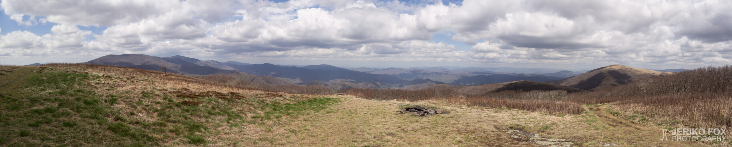 JFRM-2017-04-7271-Pano