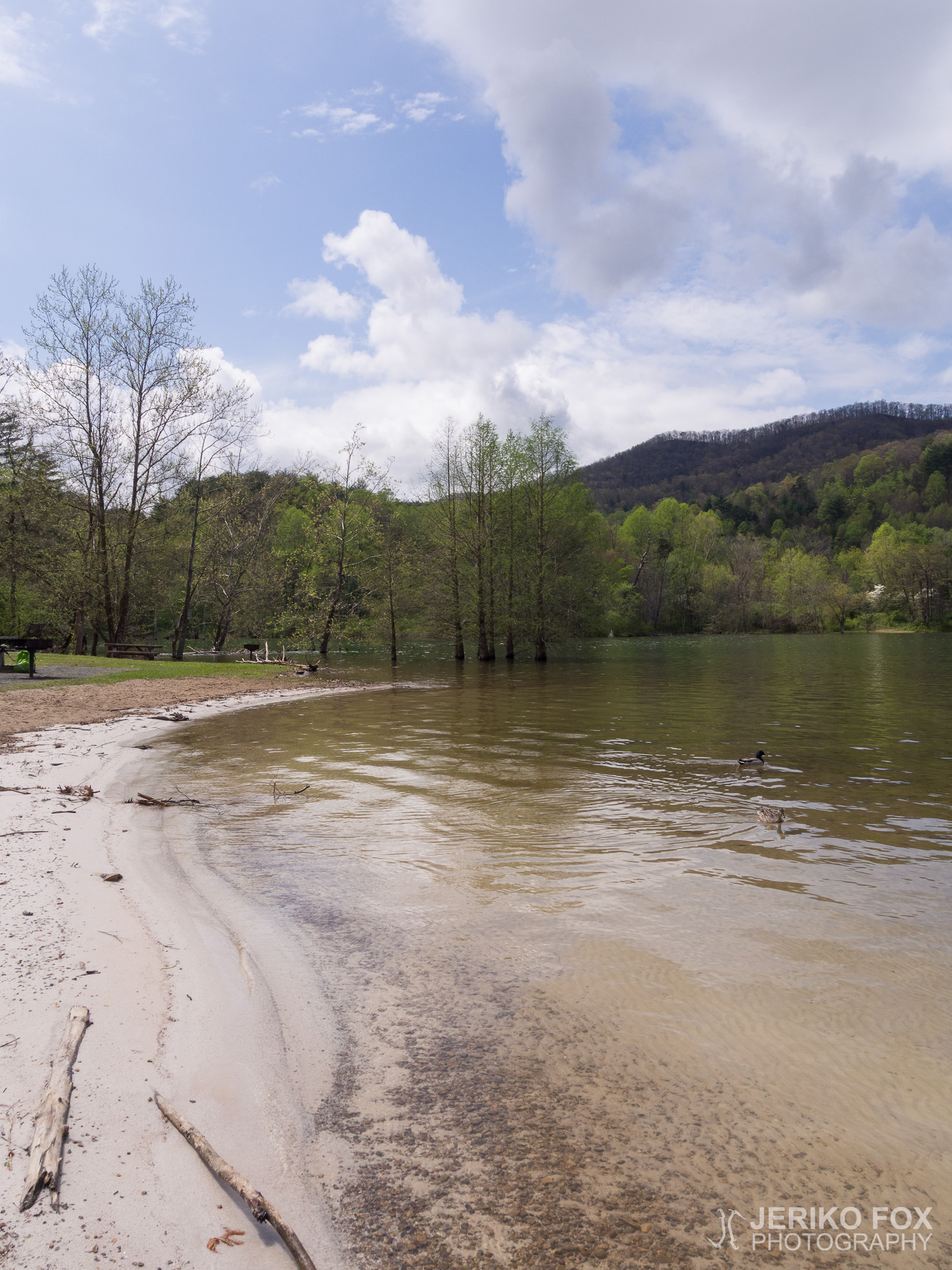 JFRM-2017-04-7396