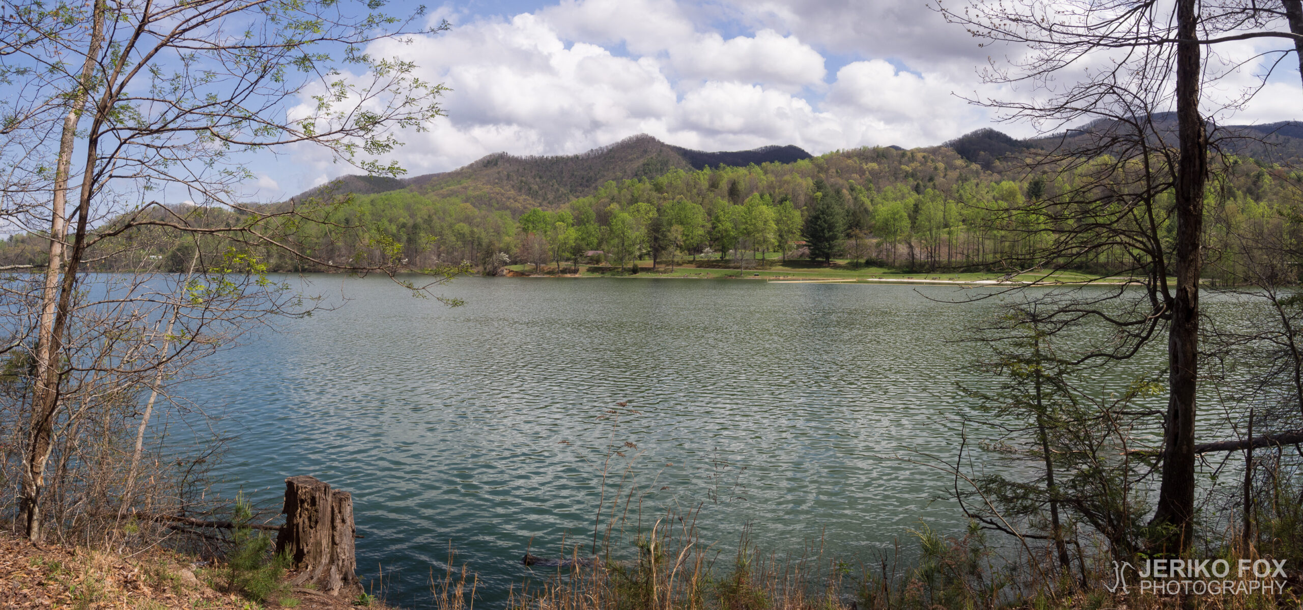JFRM-2017-04-7398-Pano