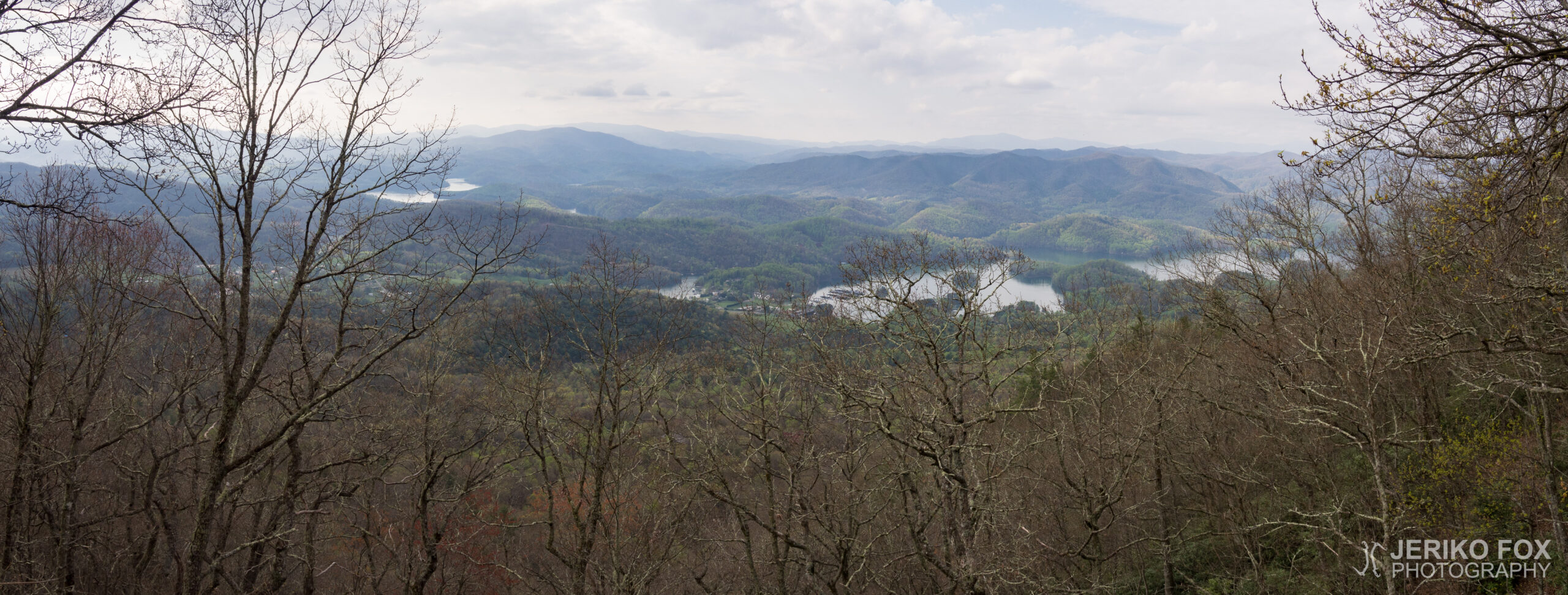 JFRM-2017-04-7422-Pano