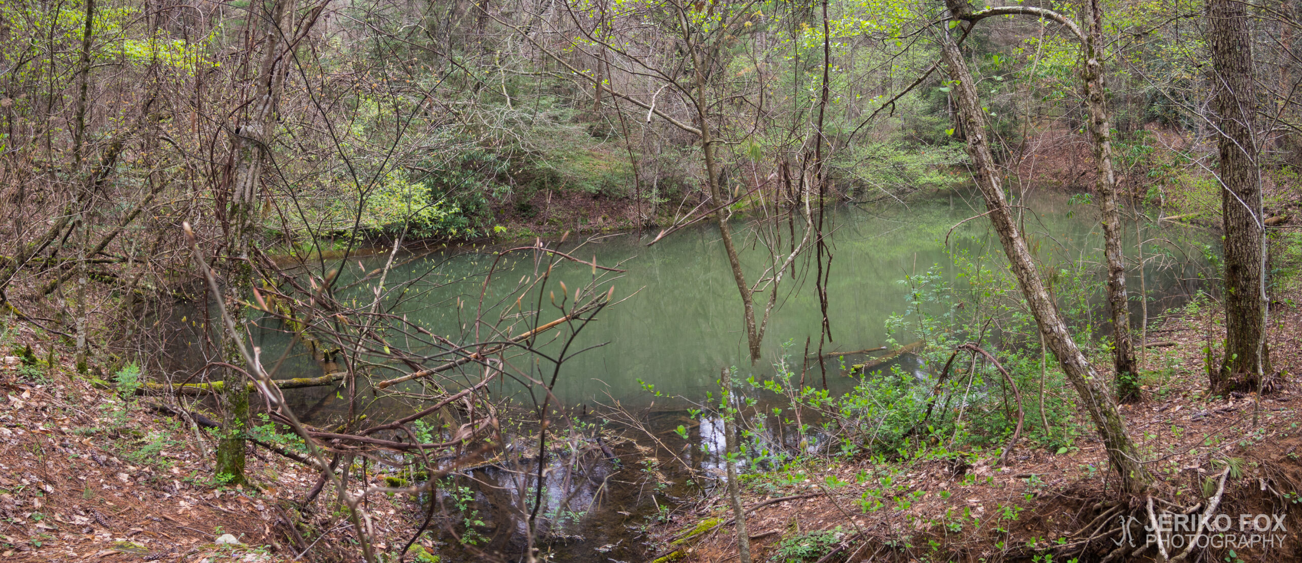 JFRM-2017-04-7505-Pano