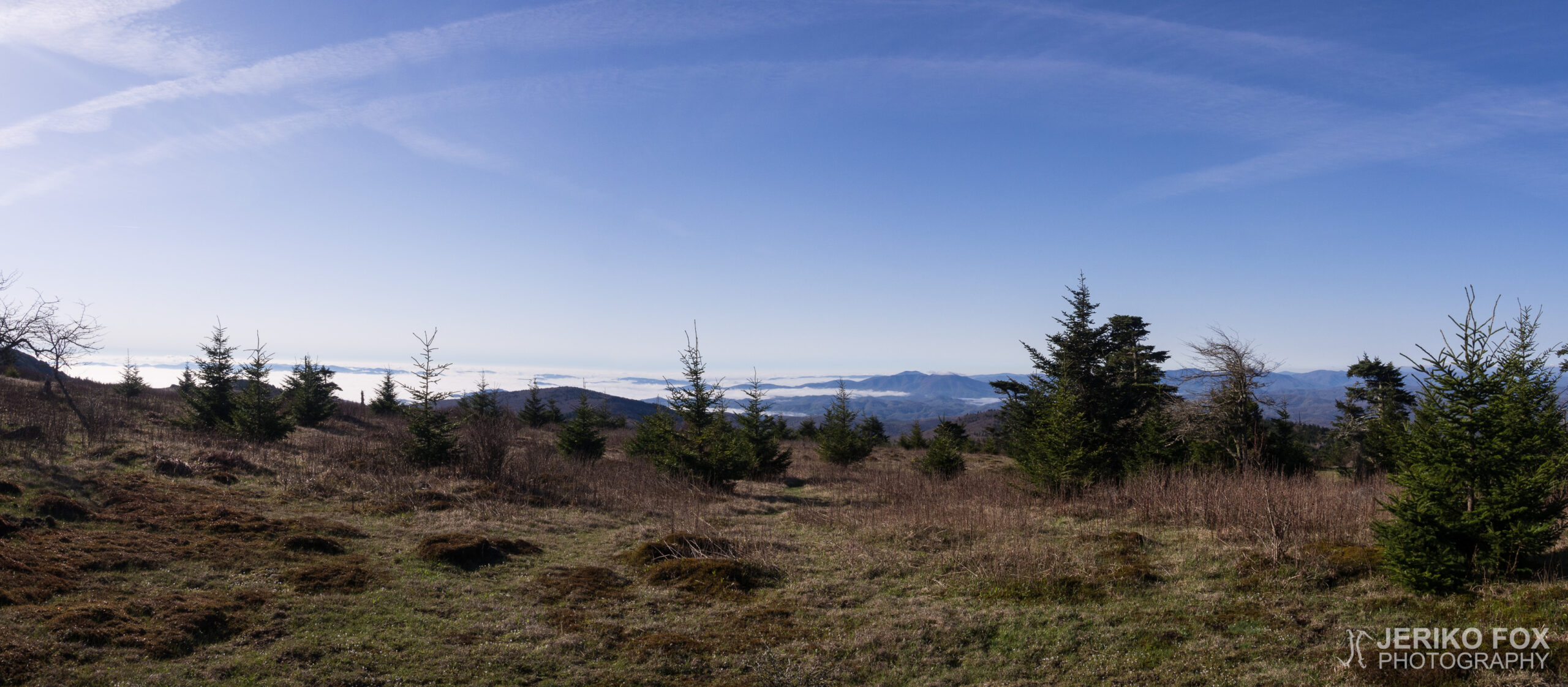 JFRM-2017-04-7557-Pano