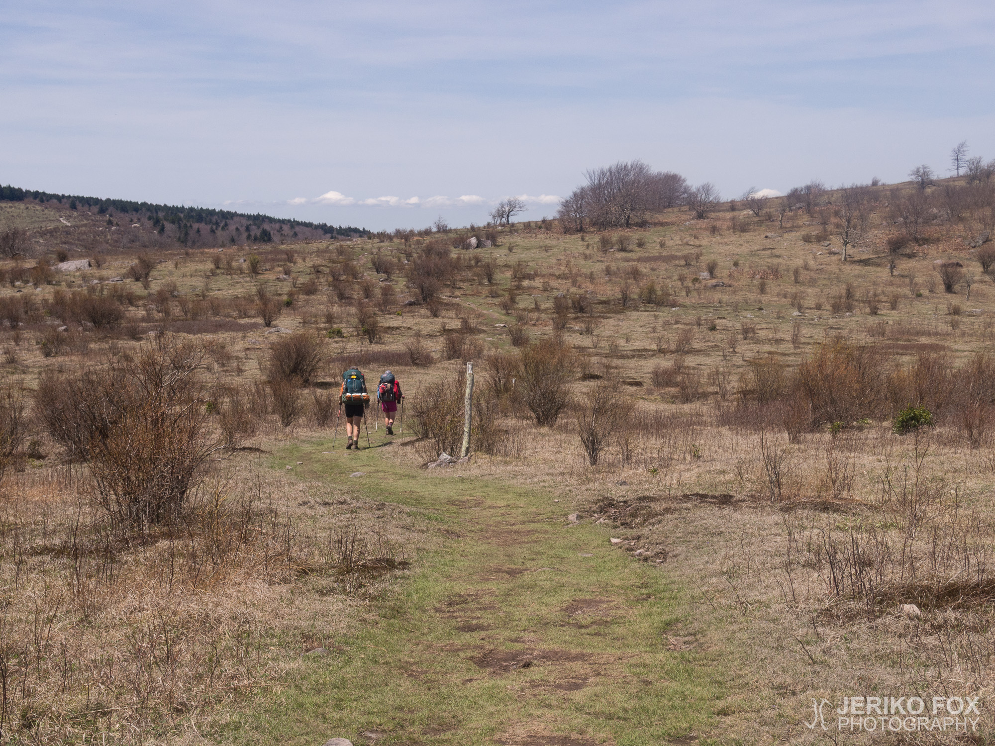 JFRM-2017-04-7582