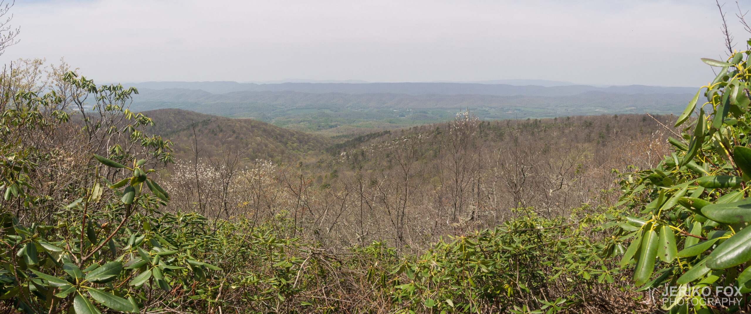 JFRM-2017-04-7629-Pano