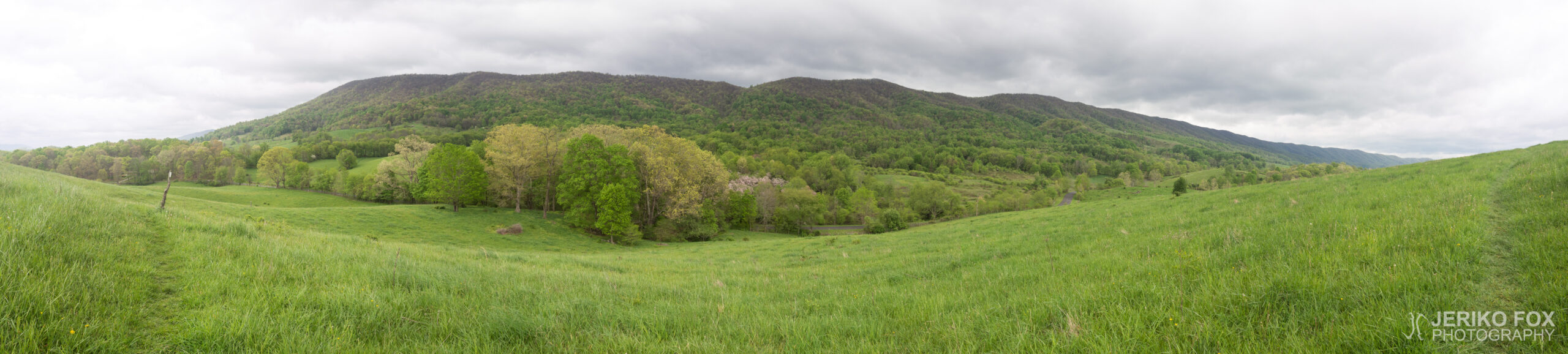 JFRM-2017-05-7689-Pano