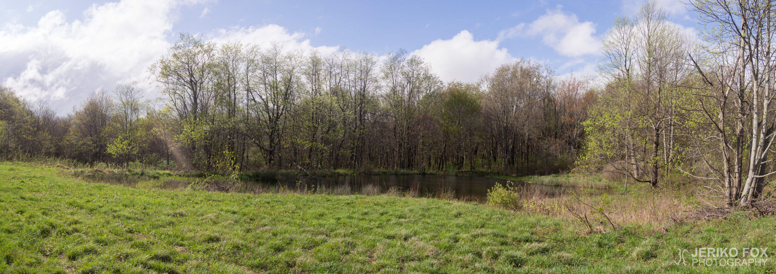 JFRM-2017-05-7700-Pano