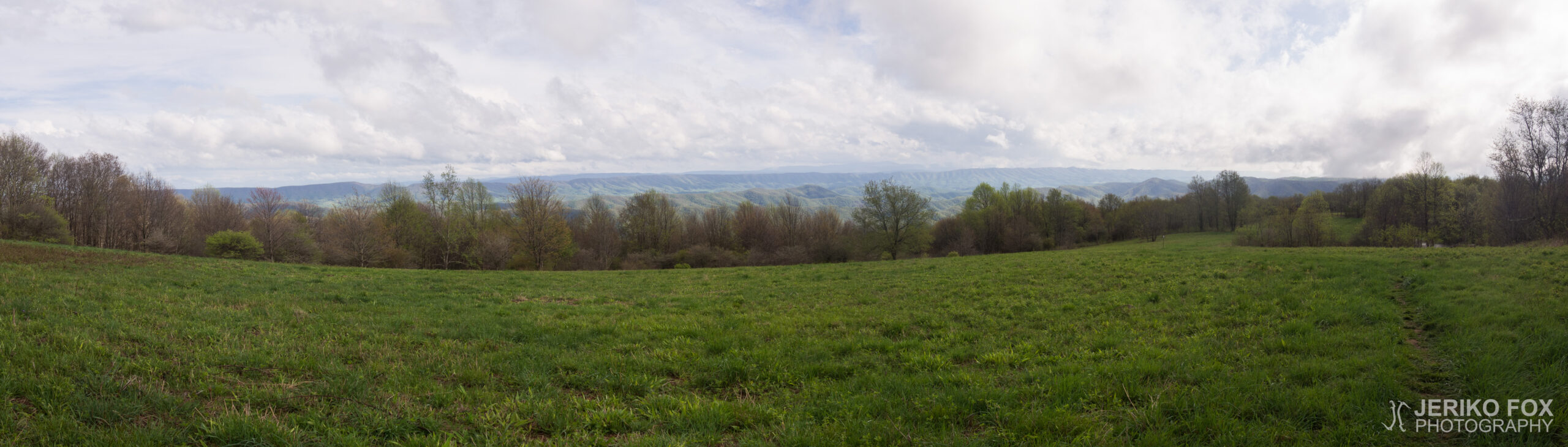 JFRM-2017-05-7706-Pano