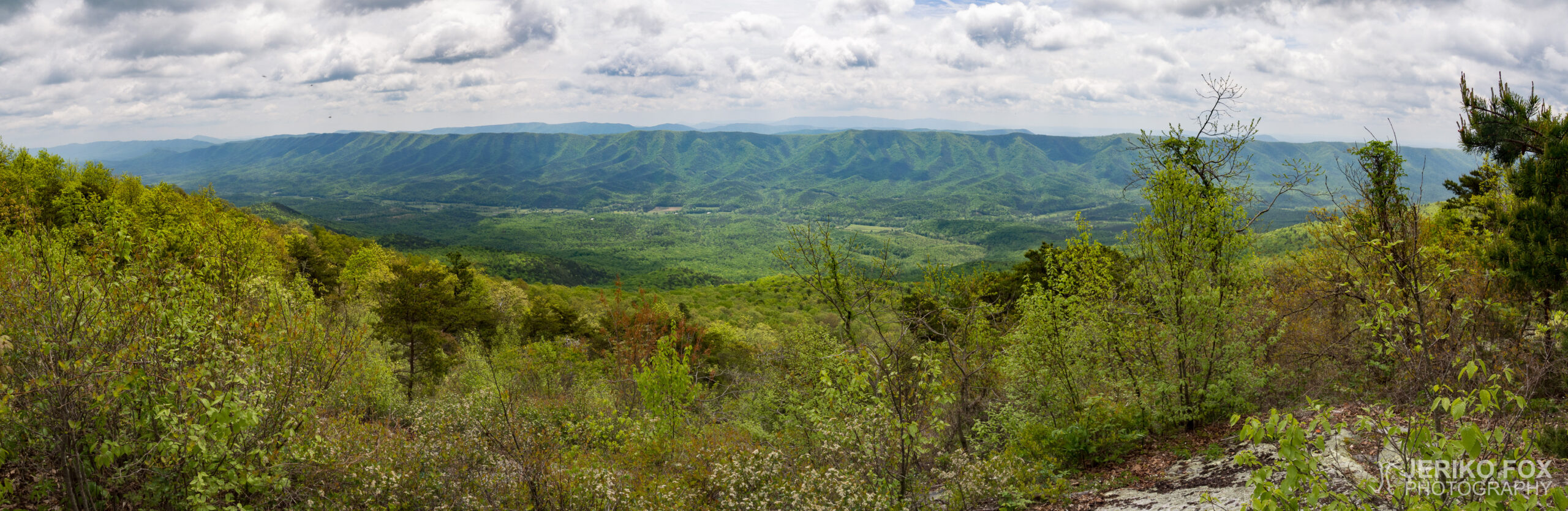 JFRM-2017-05-7934-Pano
