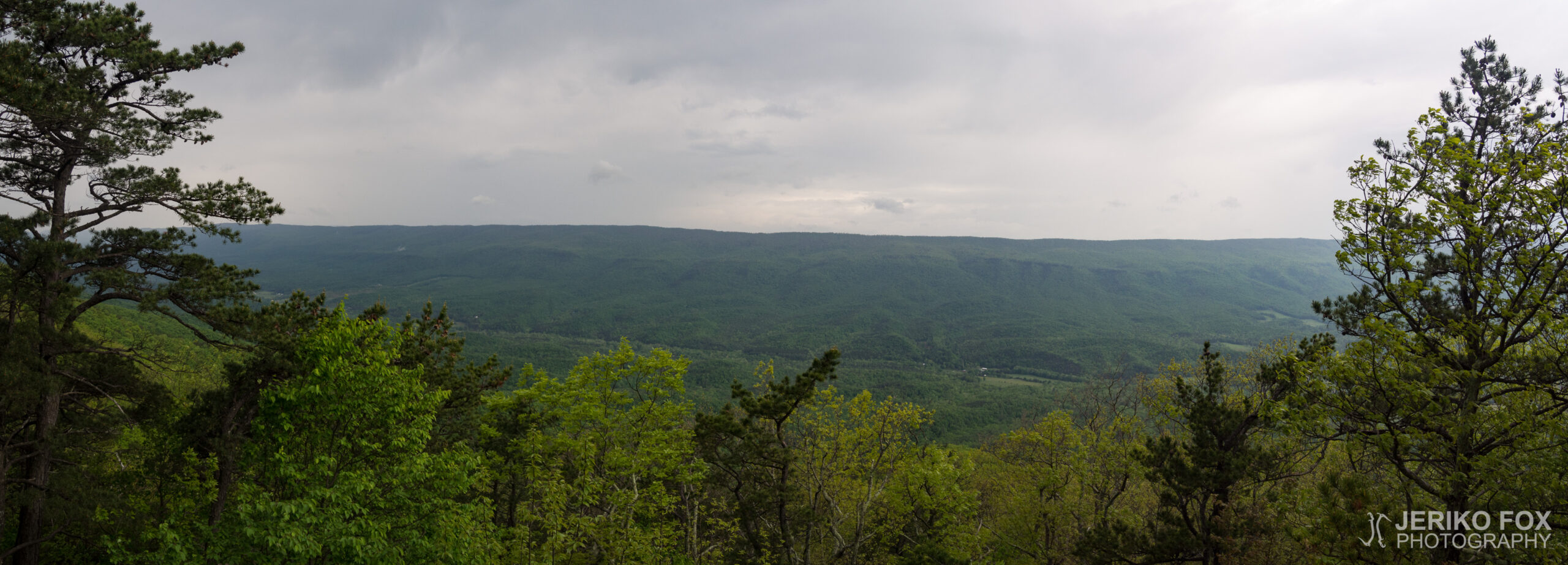 JFRM-2017-05-7953-Pano