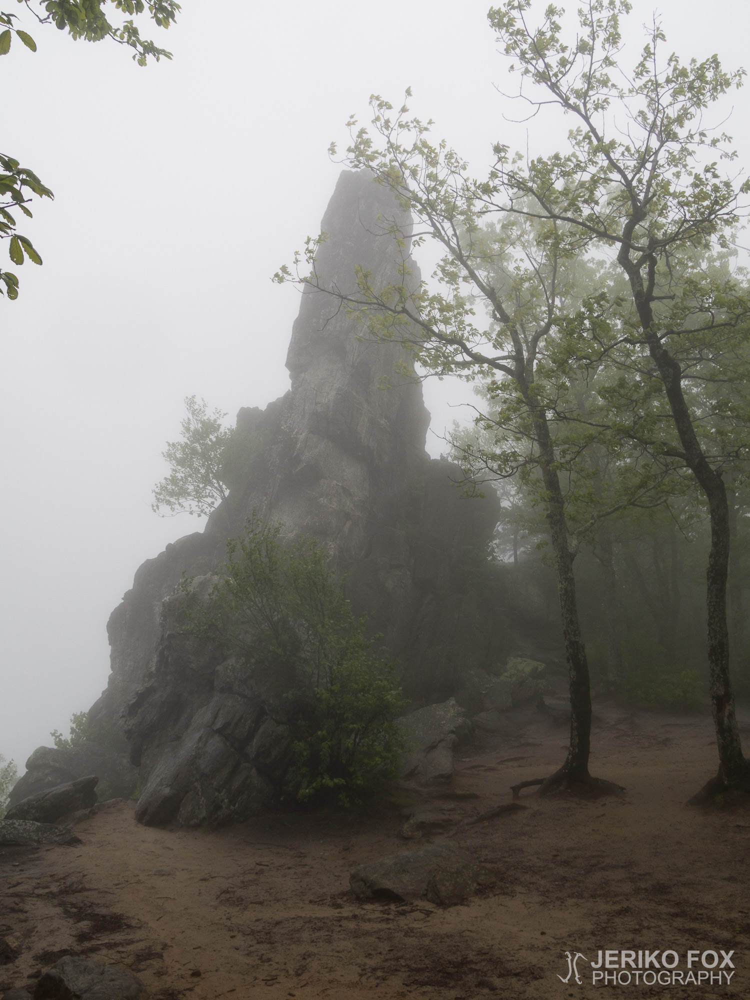 JFRM-2017-05-7968