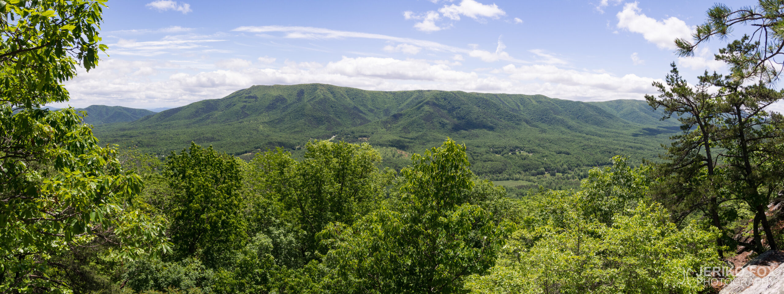 JFRM-2017-05-8016-Pano