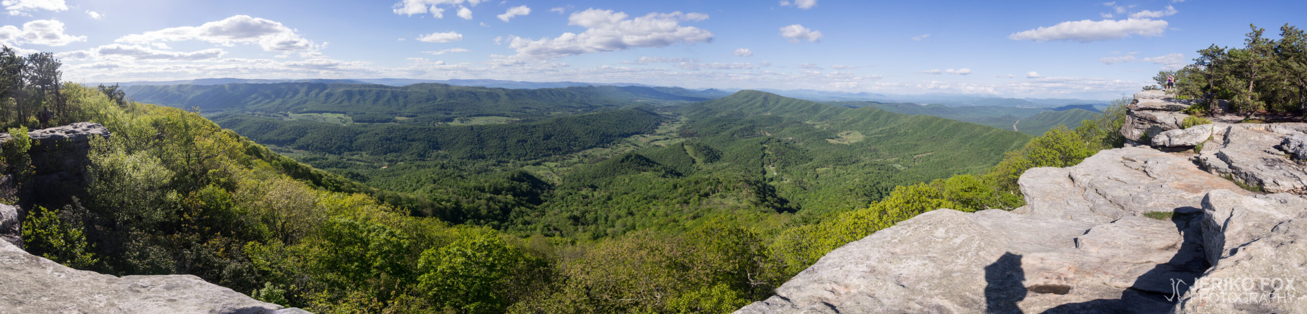 JFRM-2017-05-8034-Pano