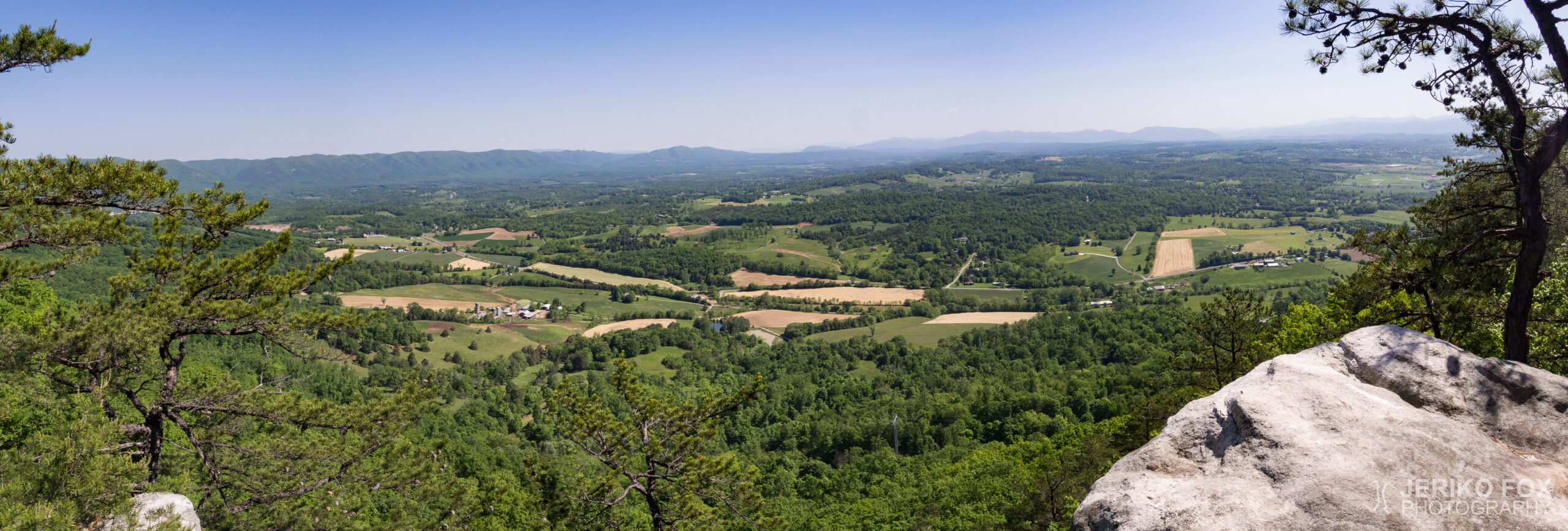 JFRM-2017-05-8125-Pano