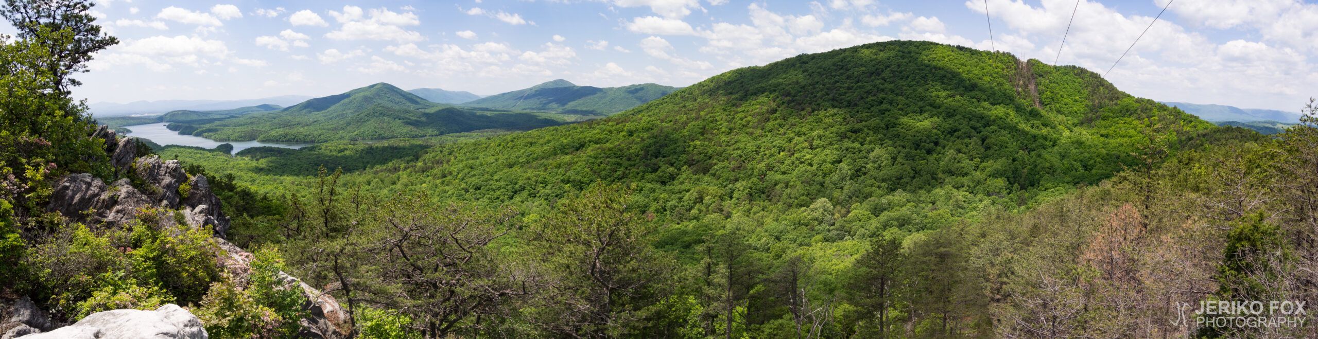 JFRM-2017-05-8129-Pano