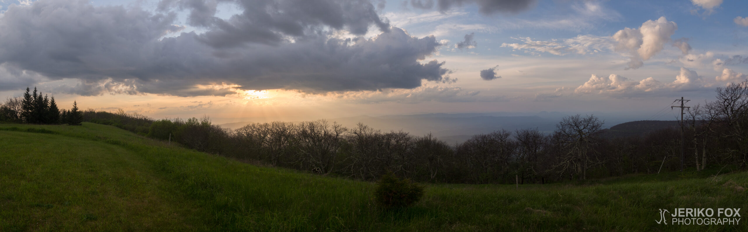 JFRM-2017-05-8241-Pano
