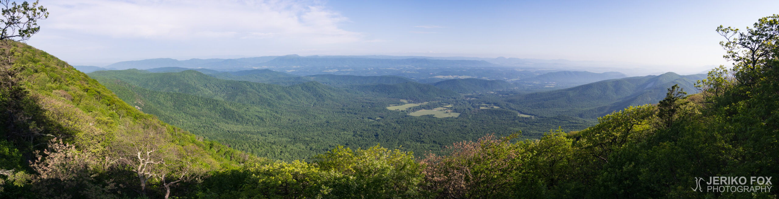 JFRM-2017-05-8276-Pano