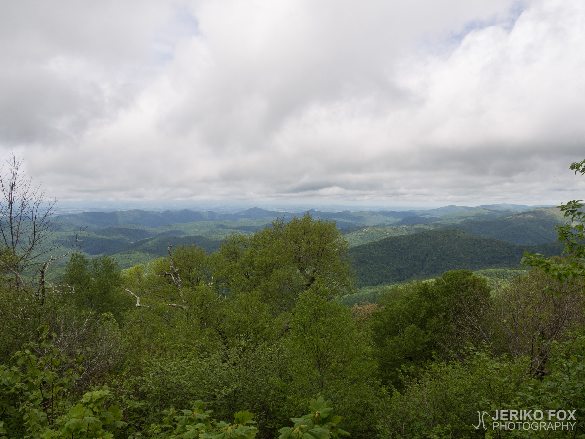 JFRM-2017-05-8335