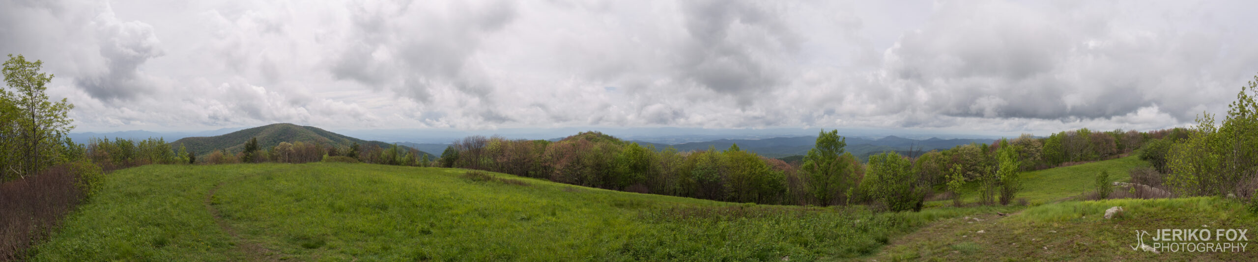 JFRM-2017-05-8338-Pano