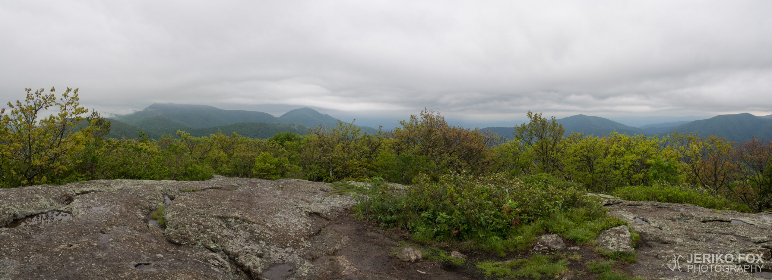 JFRM-2017-05-8360-Pano