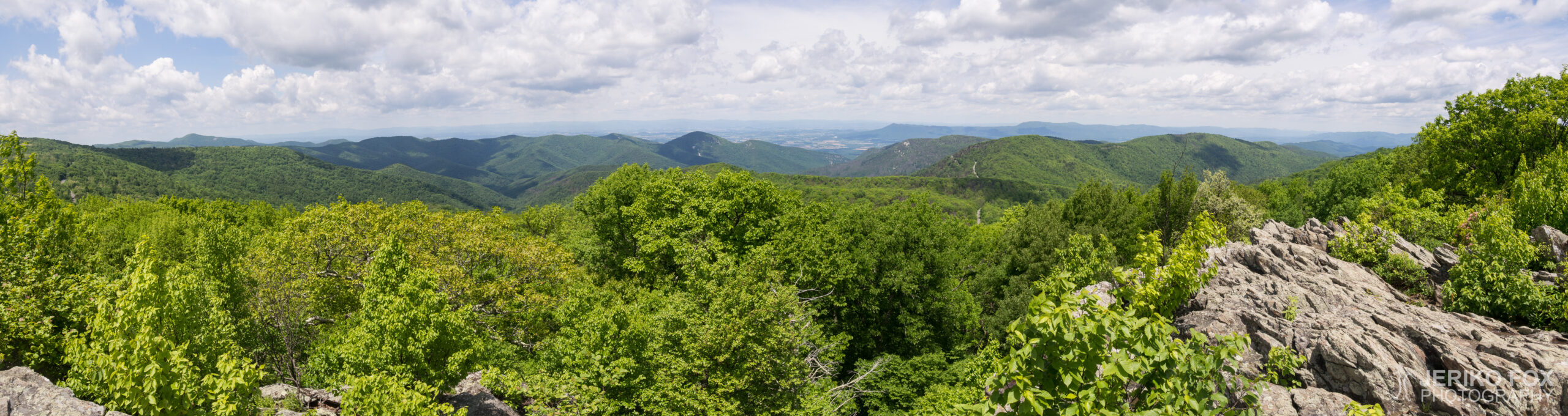 JFRM-2017-05-8465-Pano