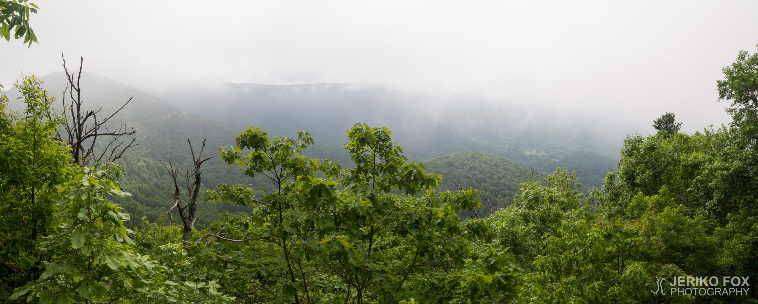 JFRM-2017-05-8501-Pano