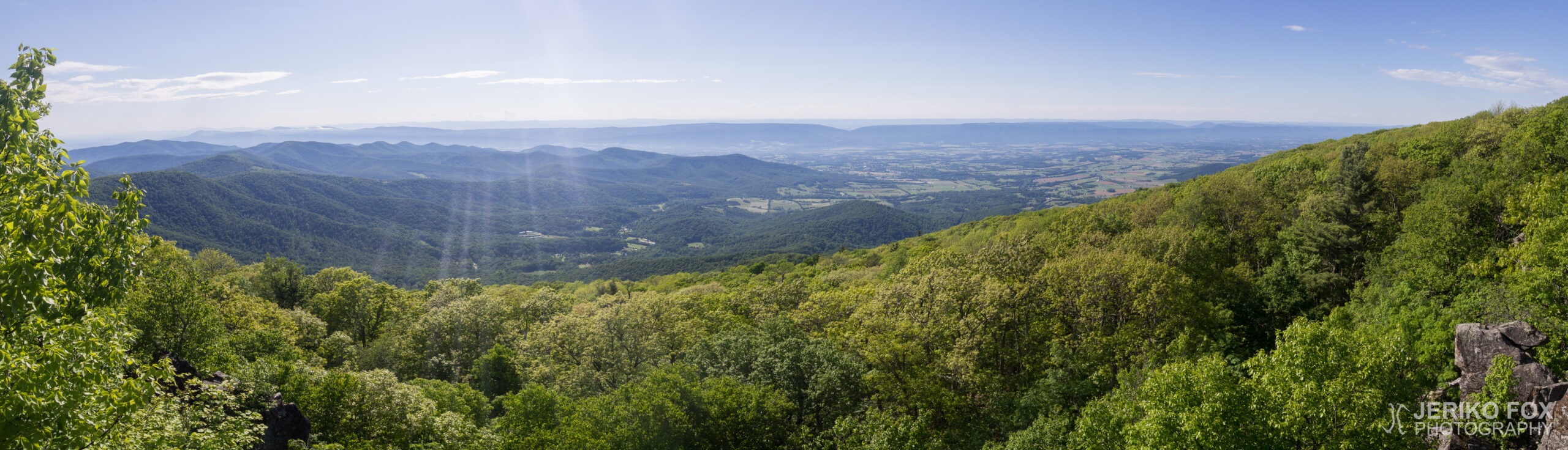 JFRM-2017-05-8537-Pano