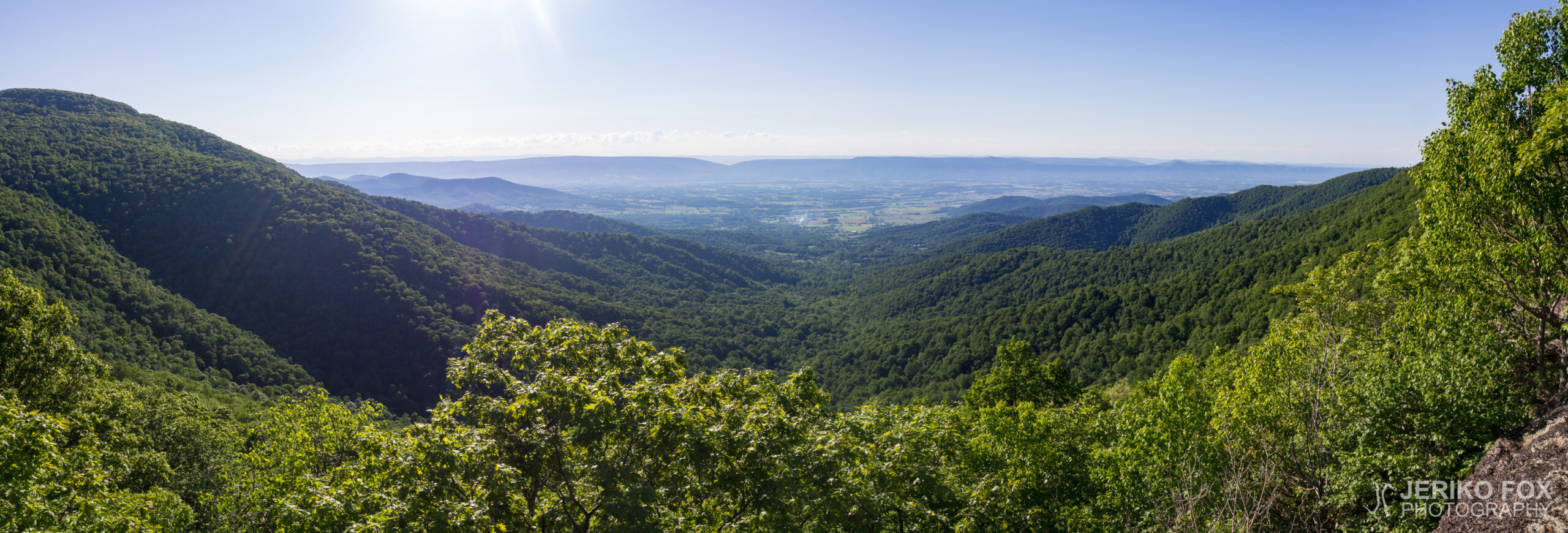 JFRM-2017-05-8546-Pano