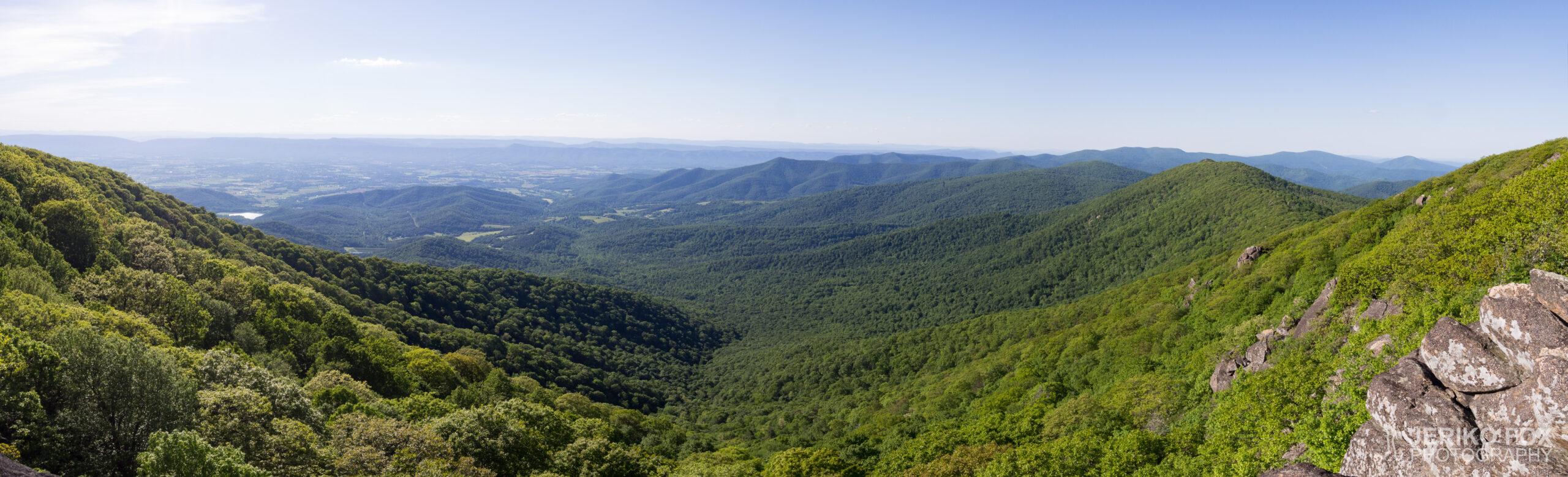 JFRM-2017-06-6018583-Pano