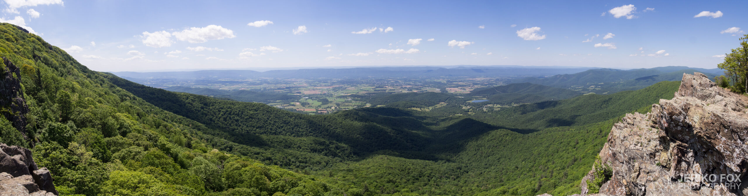 JFRM-2017-06-8573-Pano
