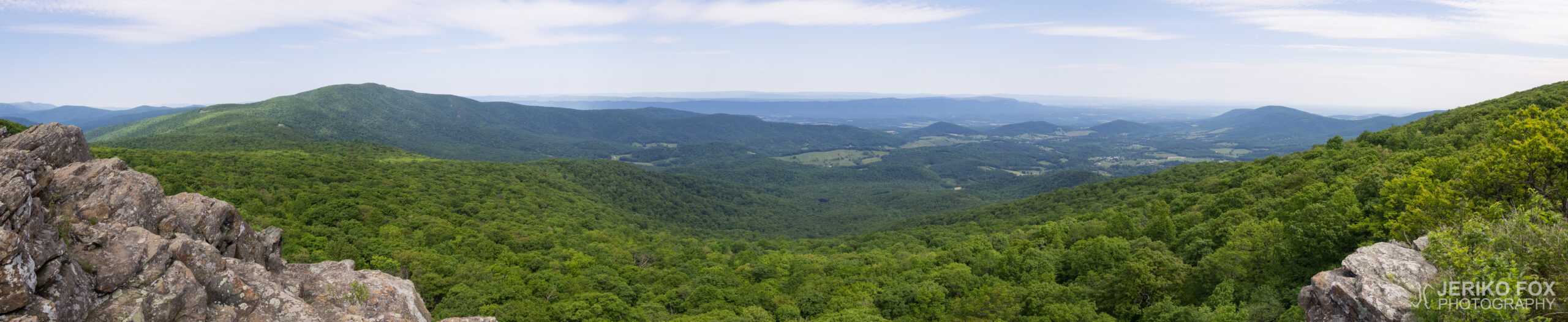 JFRM-2017-06-8612-Pano