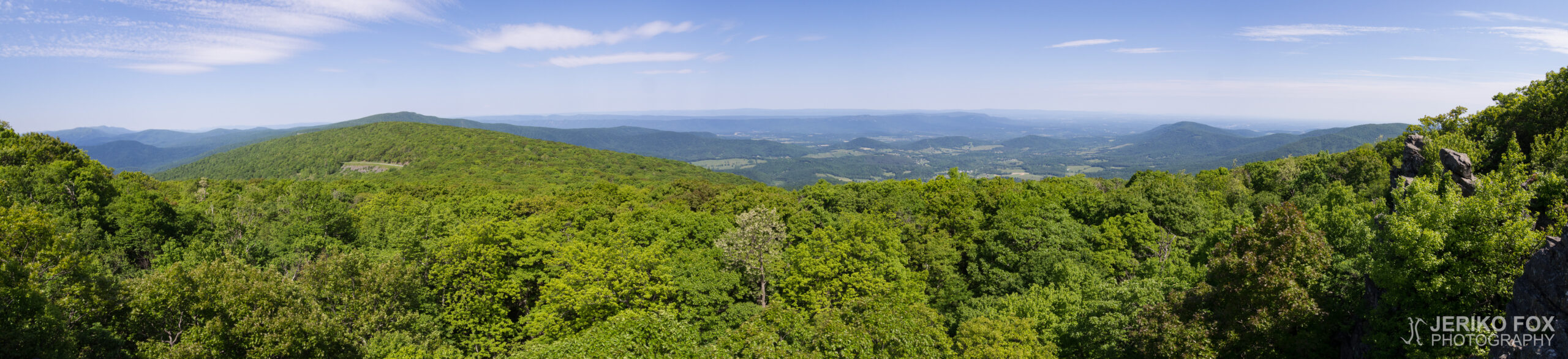JFRM-2017-06-8620-Pano