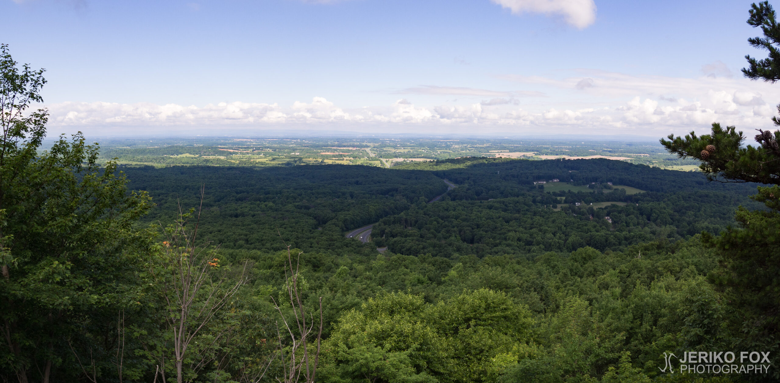JFRM-2017-06-8699-Pano