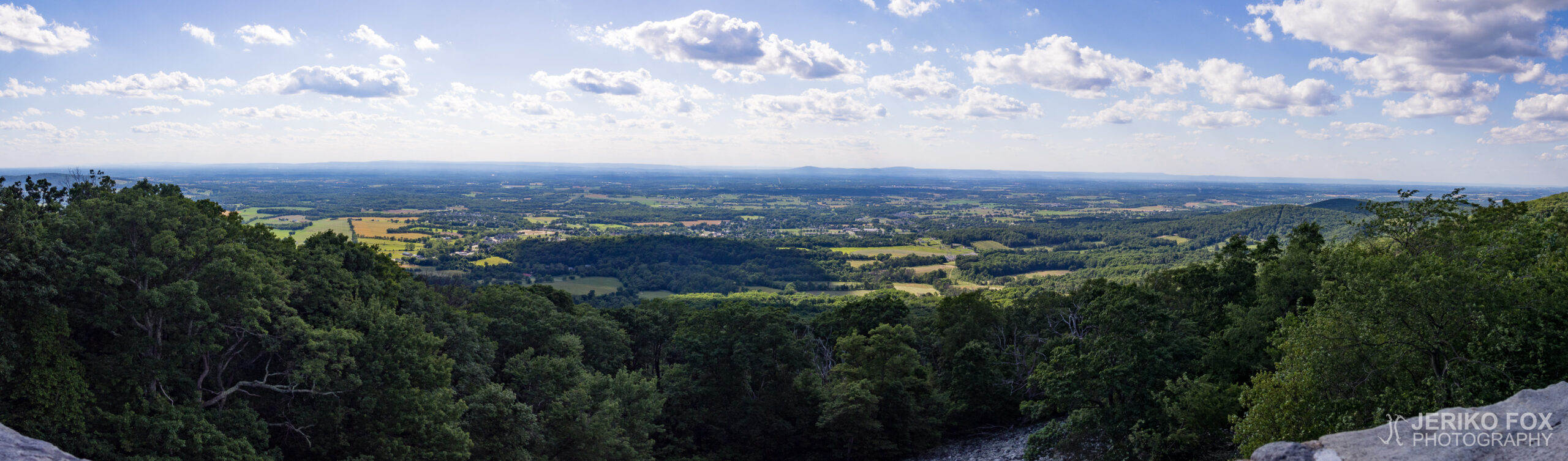 JFRM-2017-06-8806-Pano