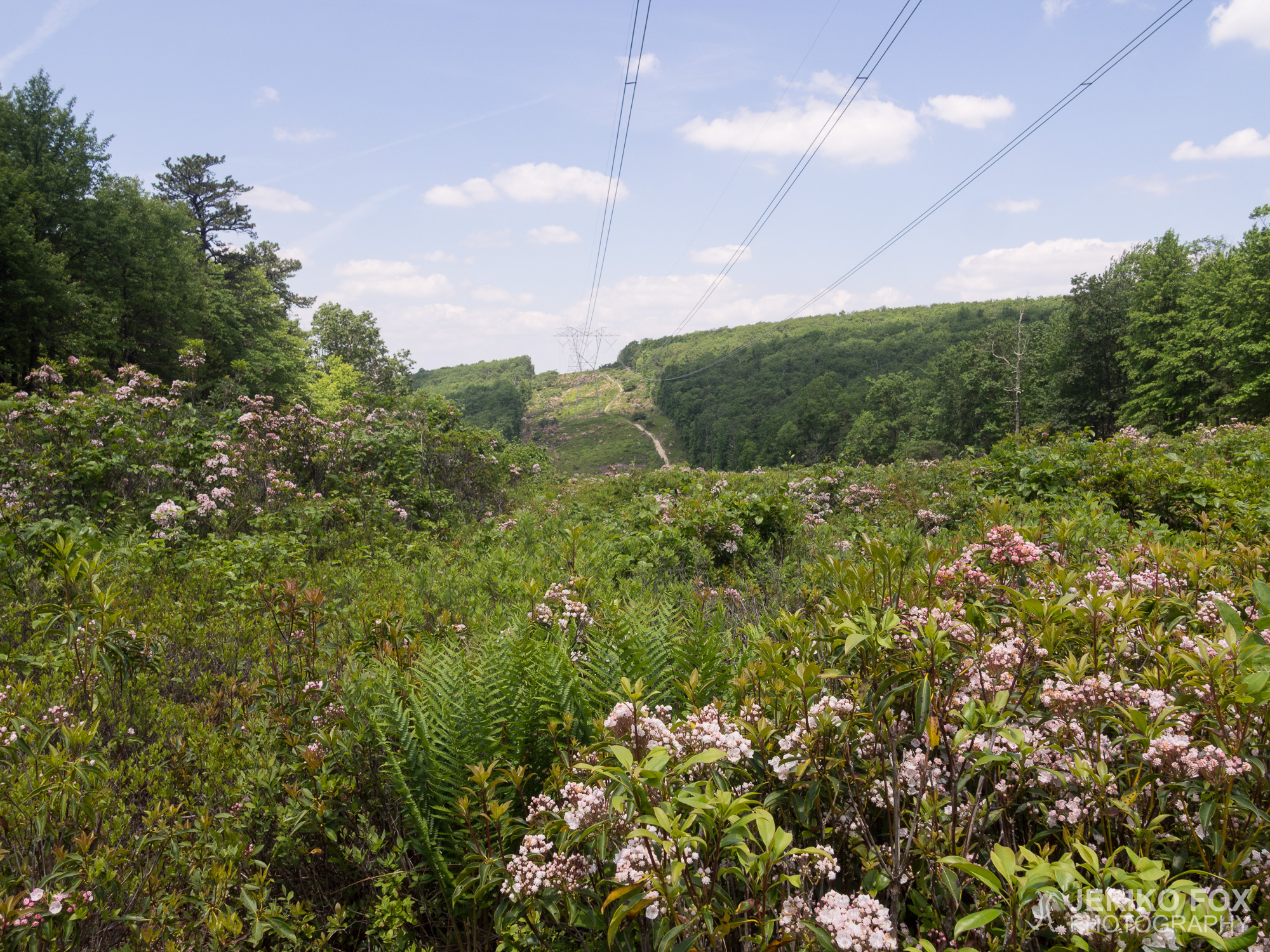 JFRM-2017-06-8865