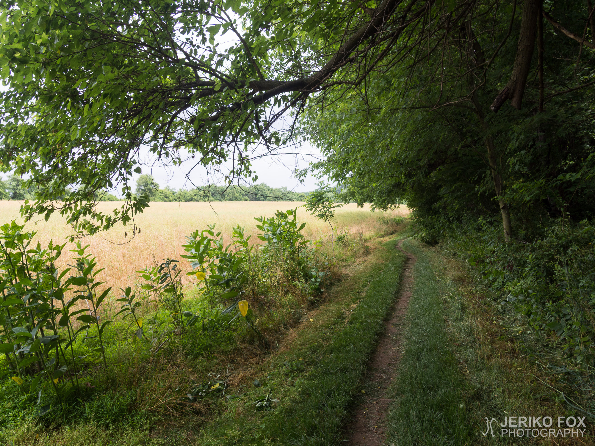 JFRM-2017-06-8940