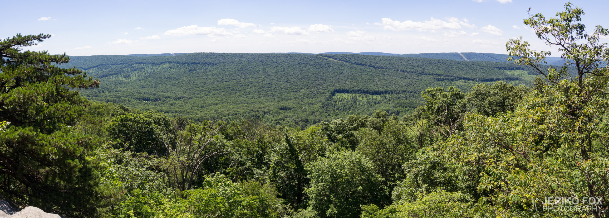 JFRM-2017-06-8991-Pano