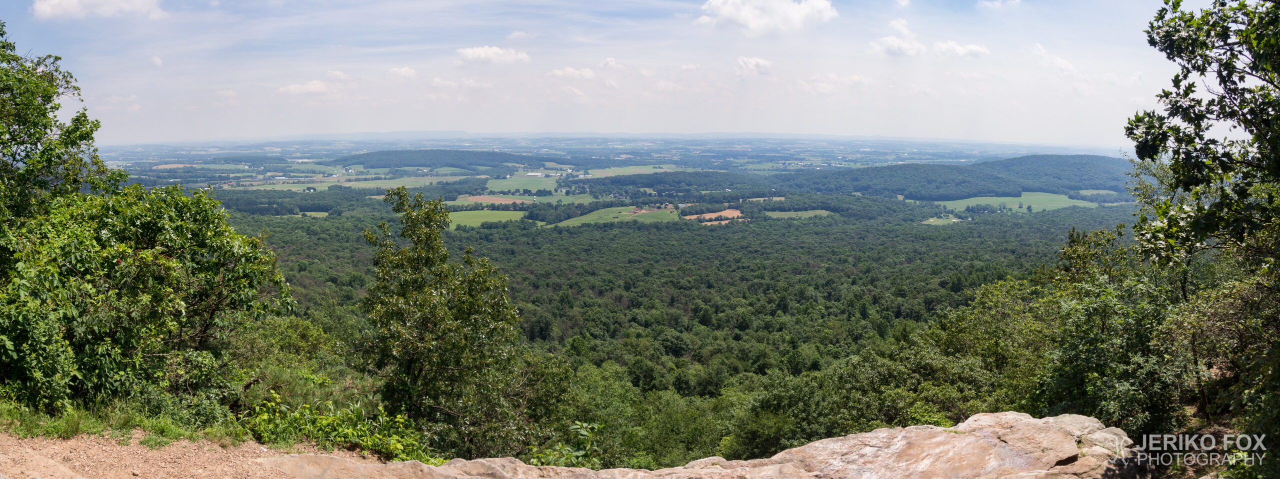 JFRM-2017-06-9035-Pano
