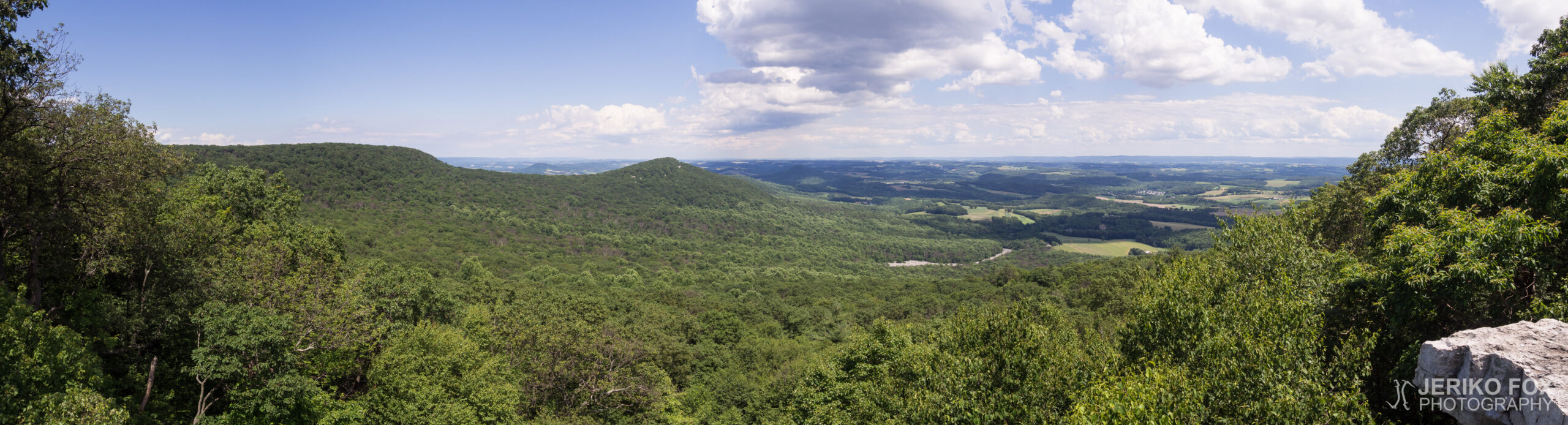 JFRM-2017-06-9111-Pano